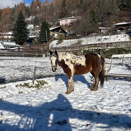 Bio-Bauernhof Auernig Villa Obervellach Kültér fotó