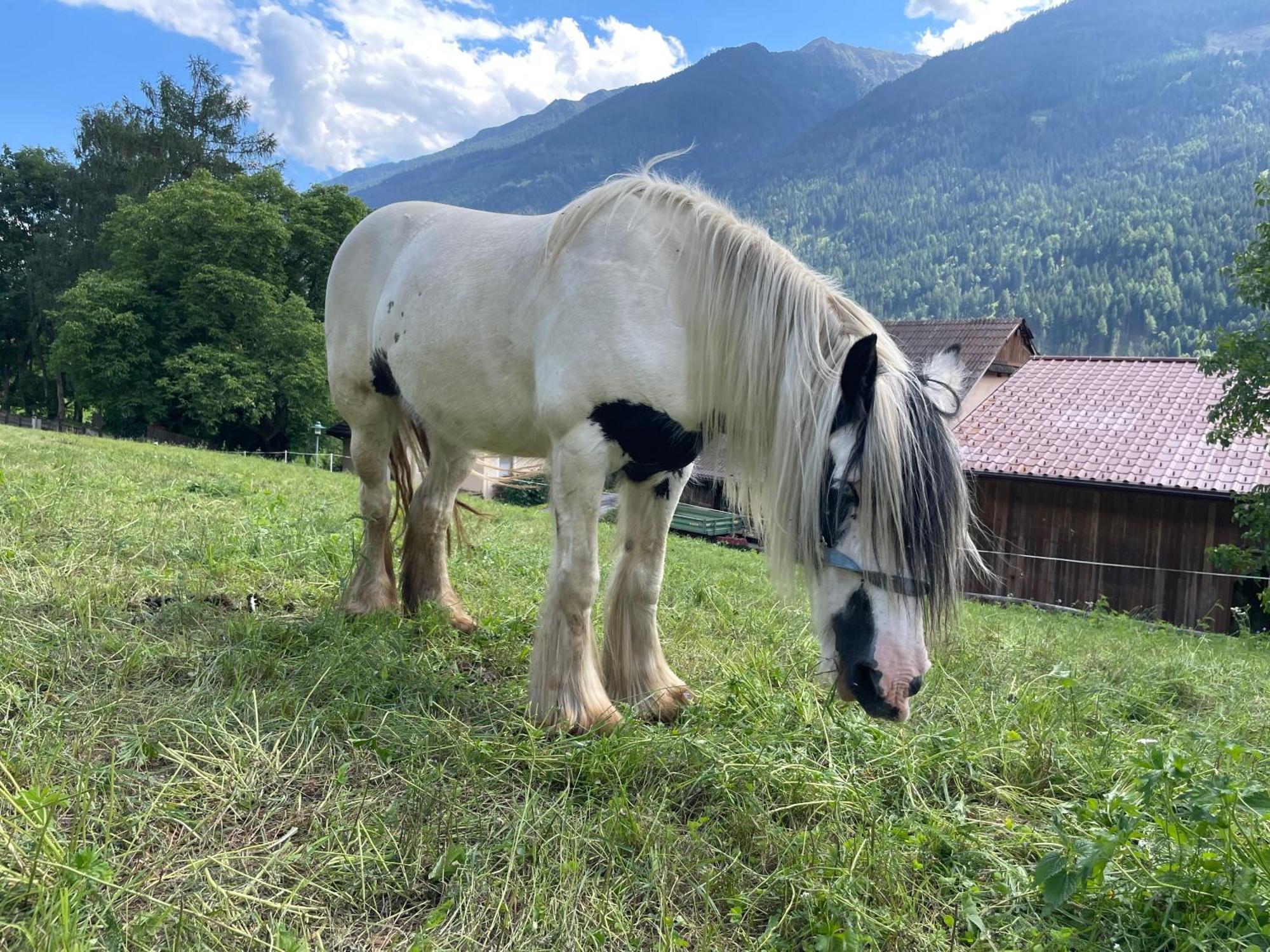 Bio-Bauernhof Auernig Villa Obervellach Kültér fotó
