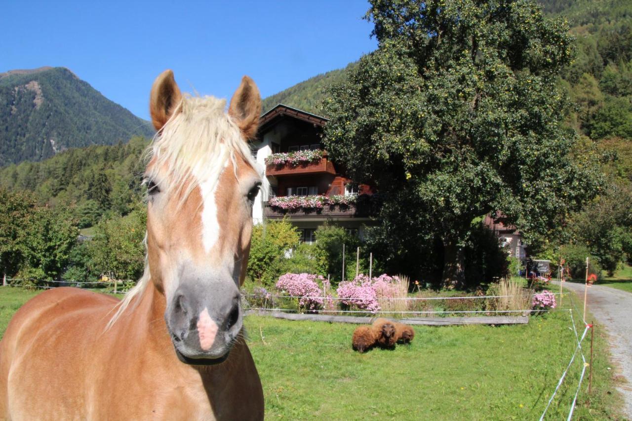 Bio-Bauernhof Auernig Villa Obervellach Kültér fotó